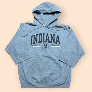 Vintage IUP Y2K Cut Off Hoodie Large Gray Indiana PA 2000s